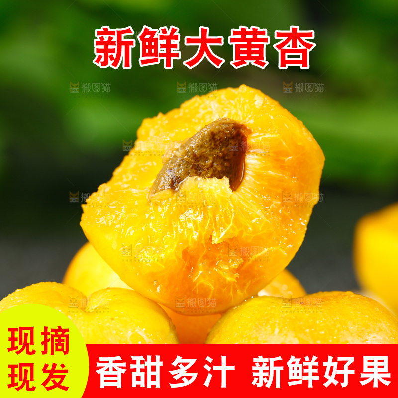 木要底上放着掰开的广西大黄杏