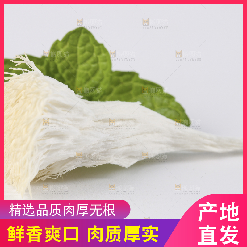 白底上放着东北山猴头菇