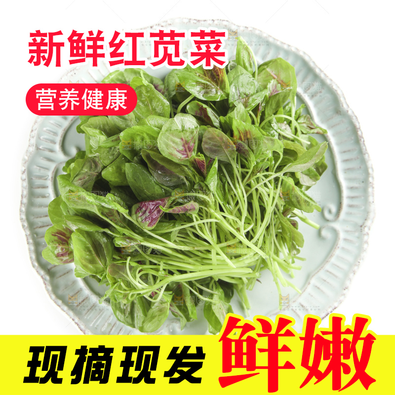 白底上放着一盘红苋菜