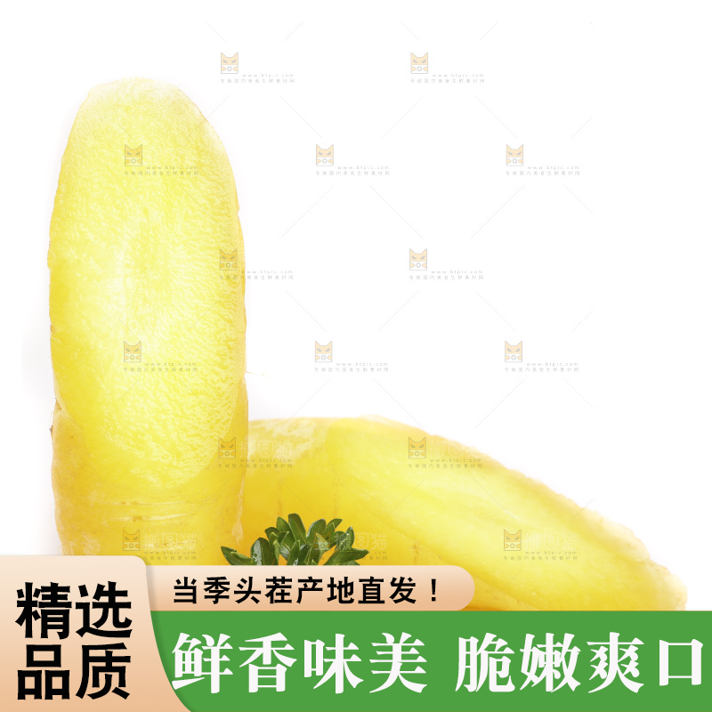 白底上摆放着黄心胡萝卜