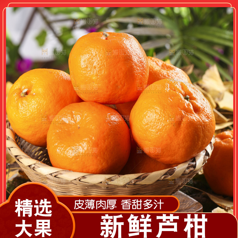 篮子里装着新鲜芦柑