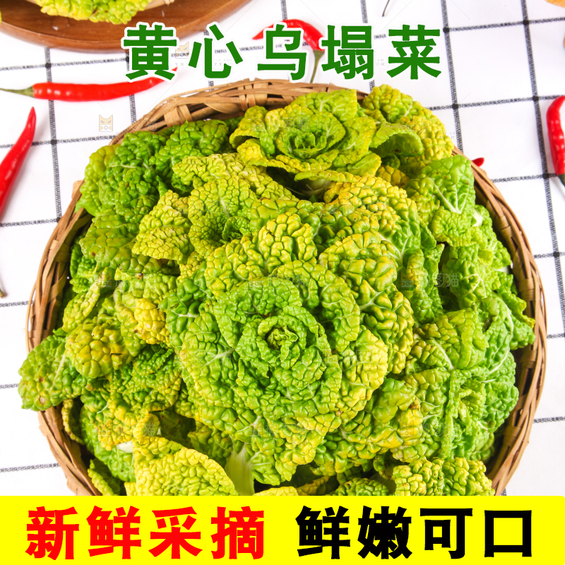篮子里装着乌塌菜