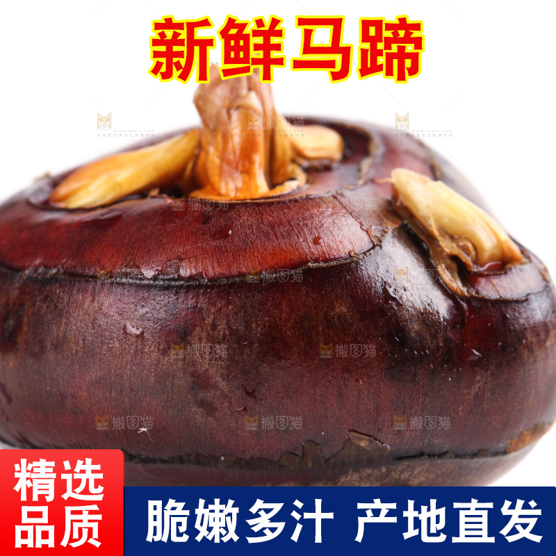 白底上摆放着乐昌北乡马蹄