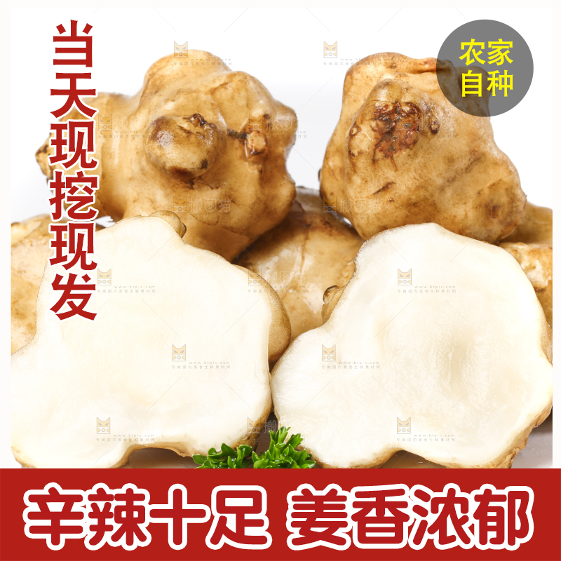 白底上的陕北高原洋姜