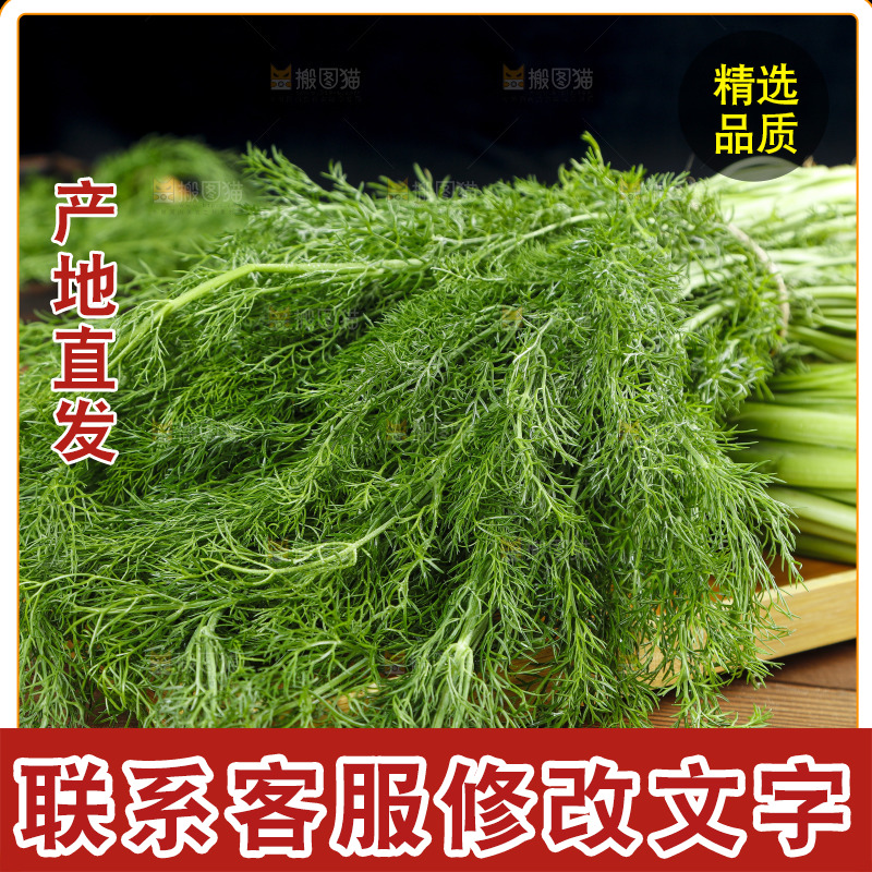 木板上的土茴香