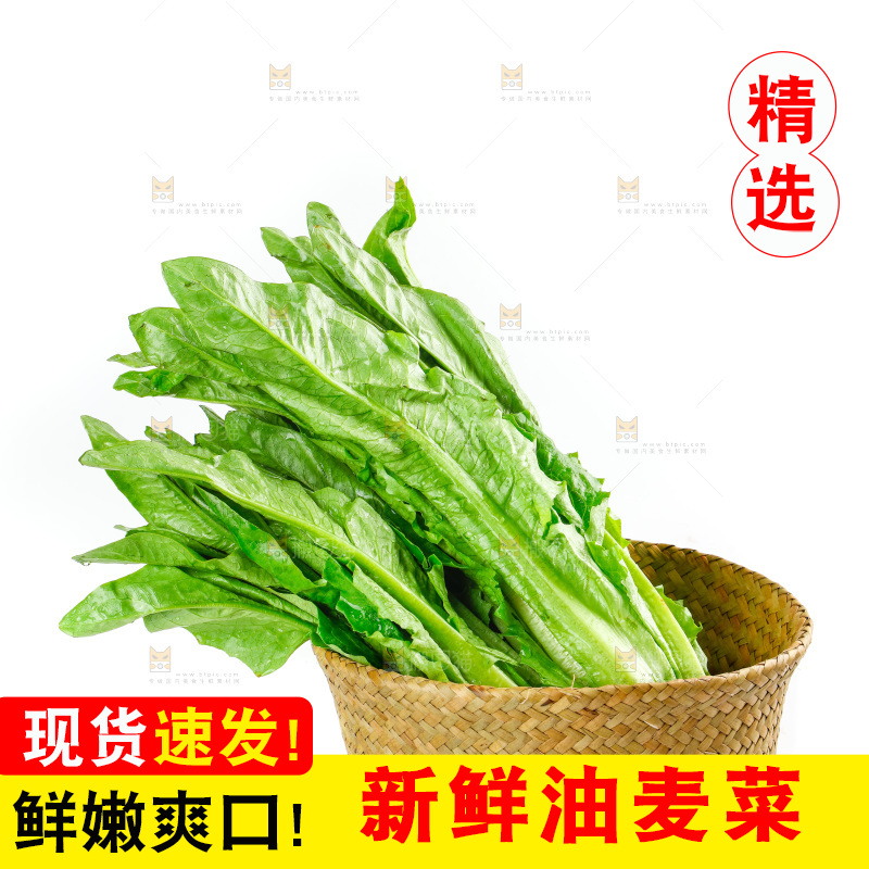 白底上放着油麦菜