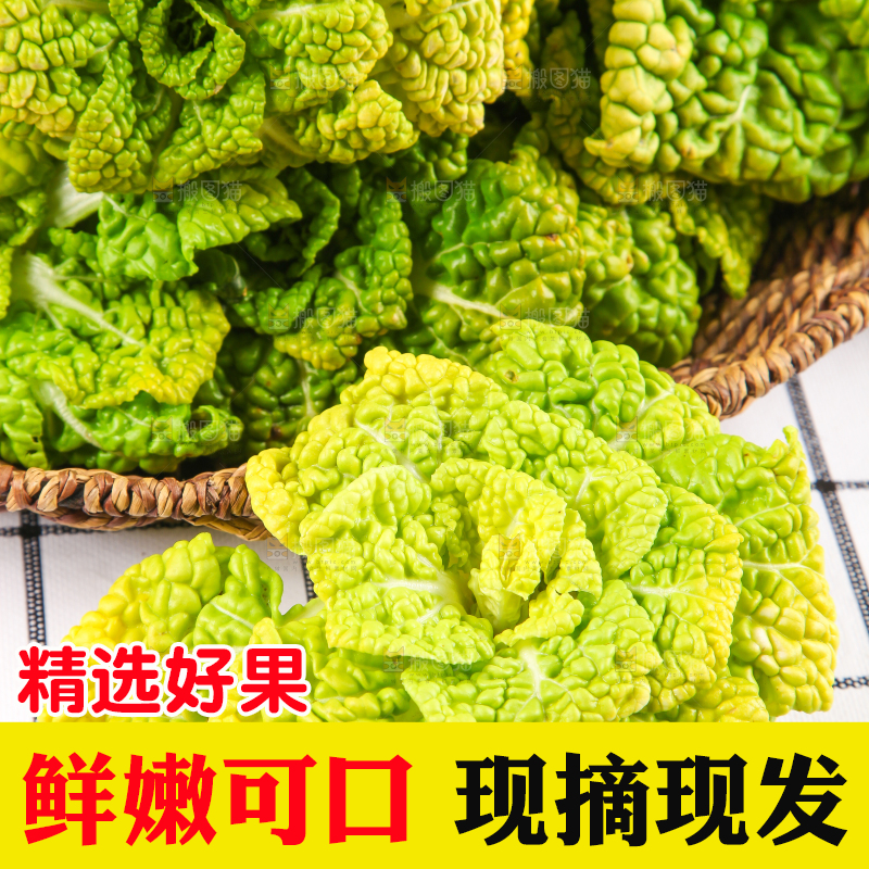 篮子里装着乌塌菜