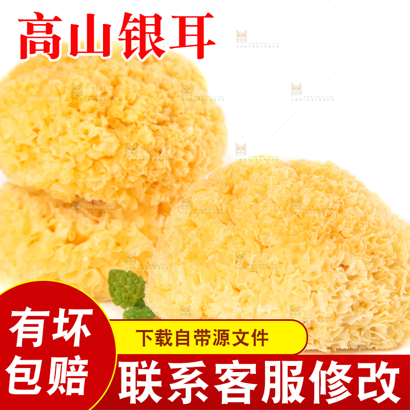 一堆糯银耳堆在白底上