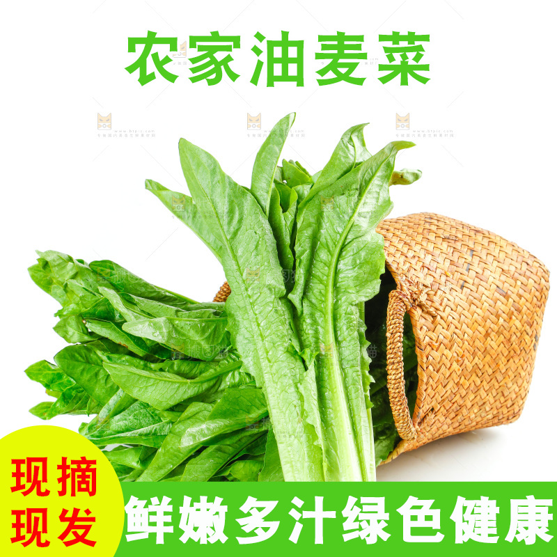 白底上放着油麦菜