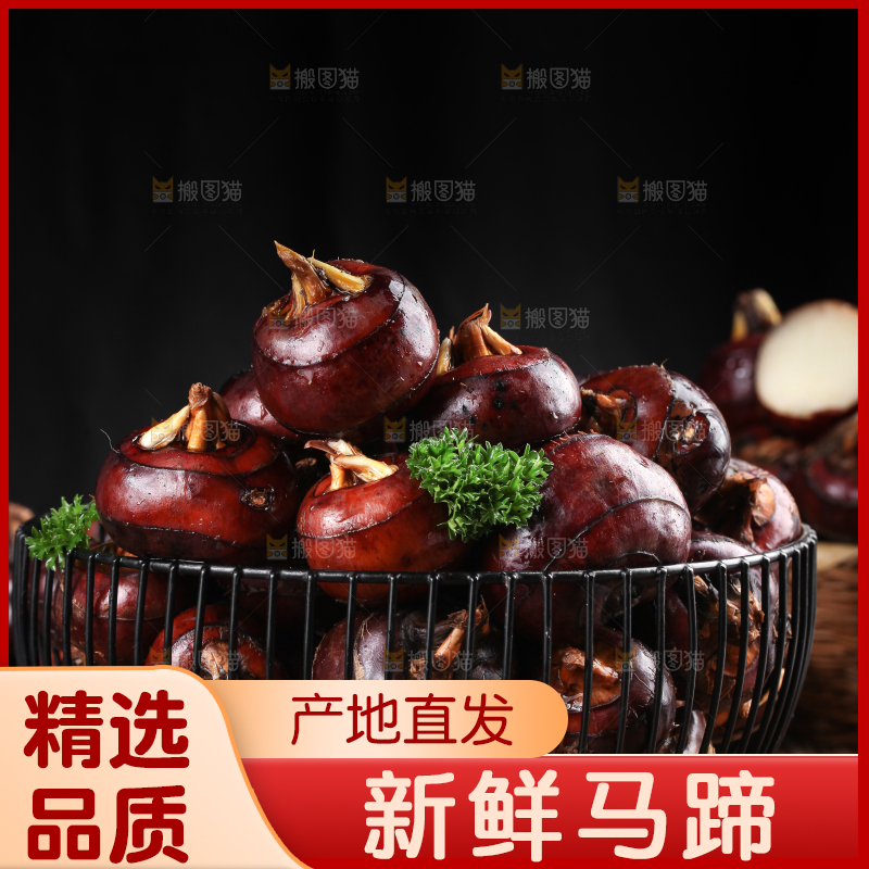 深底上的广西荔浦马蹄