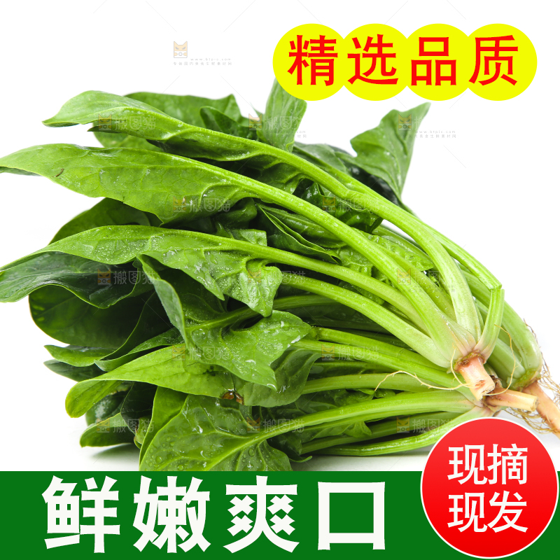白底上放着菠菜