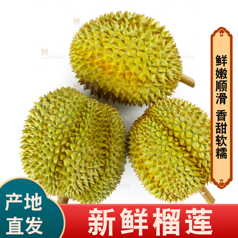 榴莲主图