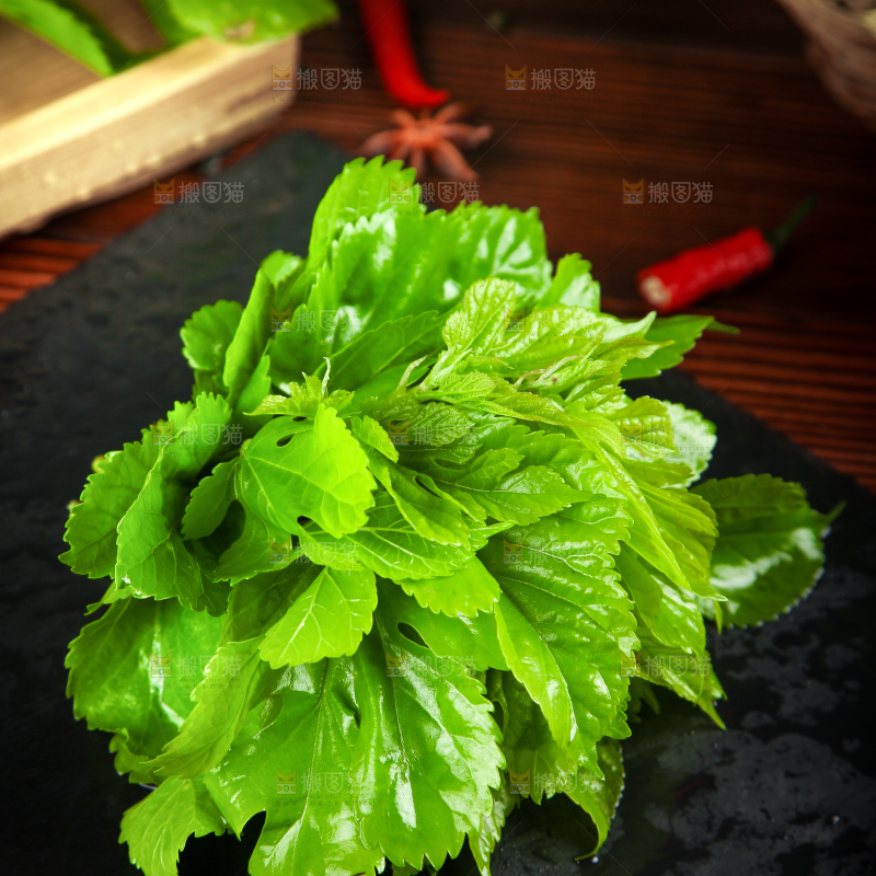 黑石板上放着桑树叶