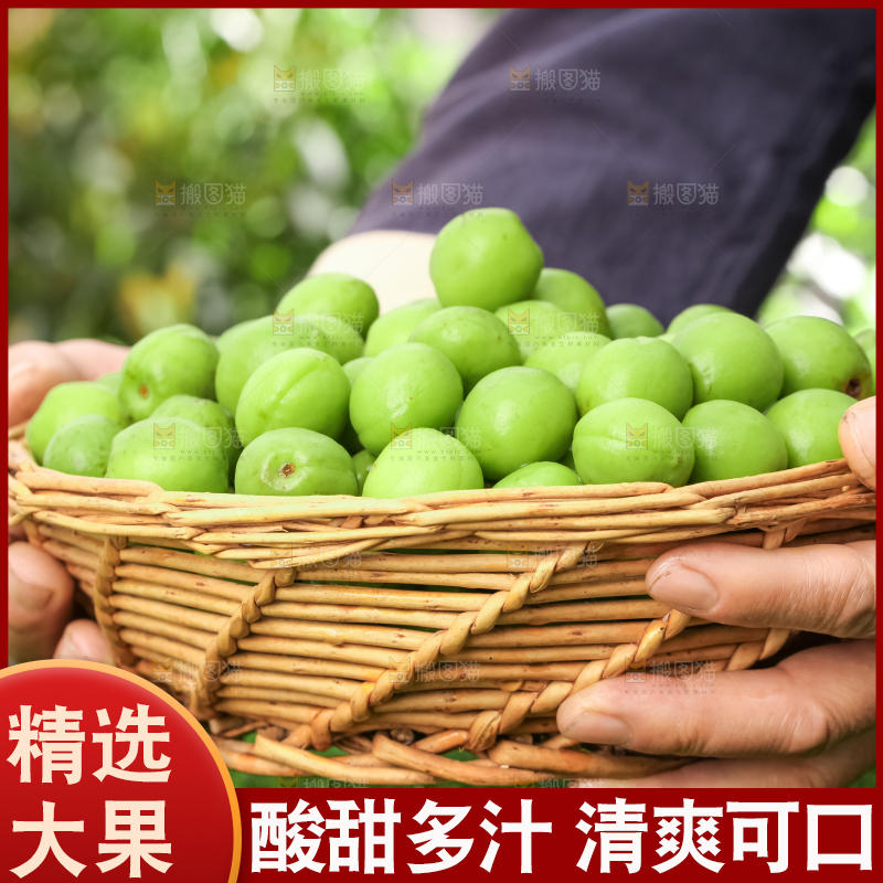 手拿一筐青梅