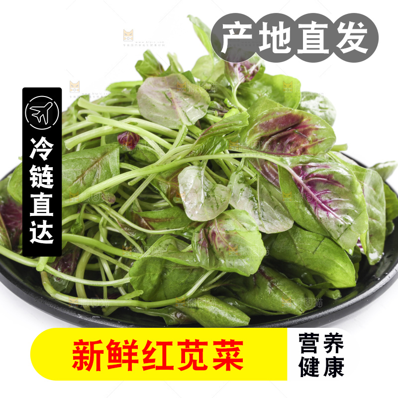 一盘农家苋菜放在白底上
