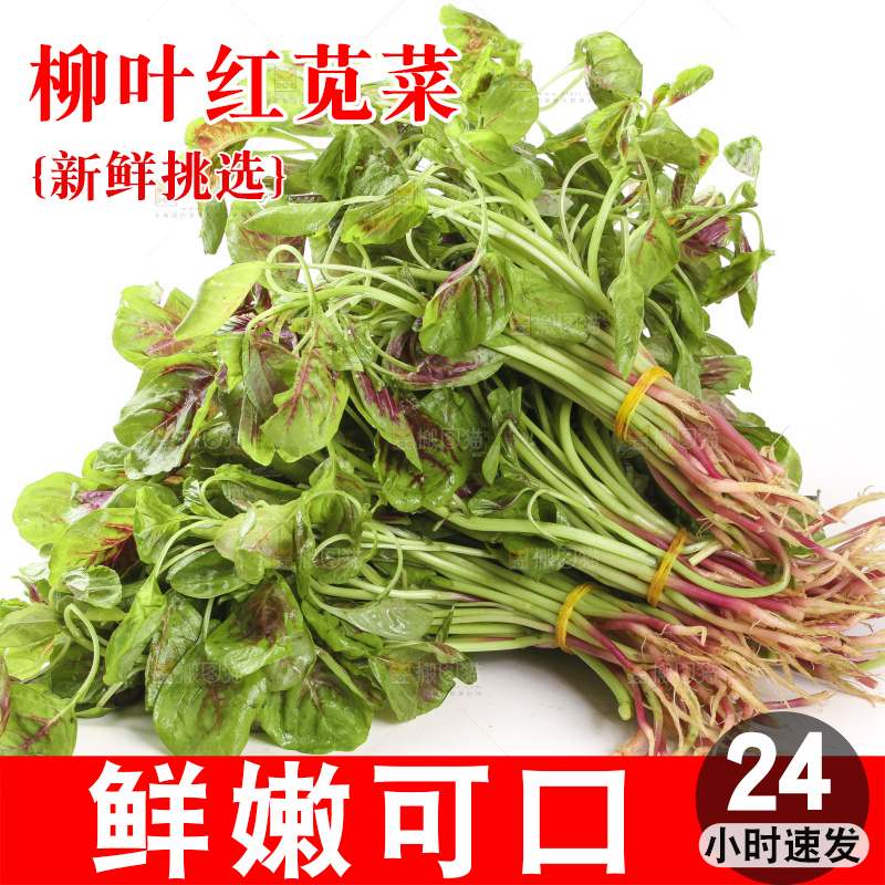 白底上的苋菜