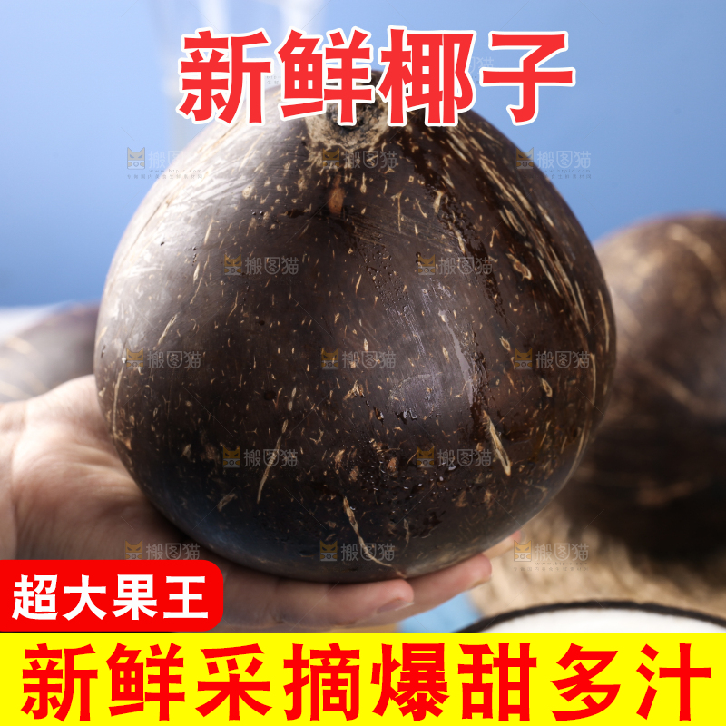 木板上的牛奶老椰子
