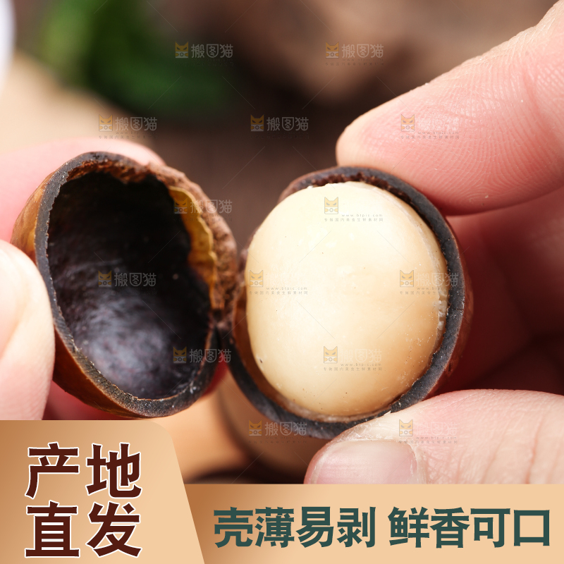 手拿夏威夷果果仁