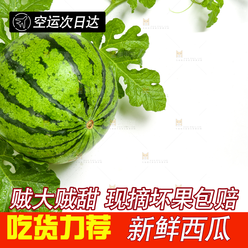 白底上放着新鲜的西瓜