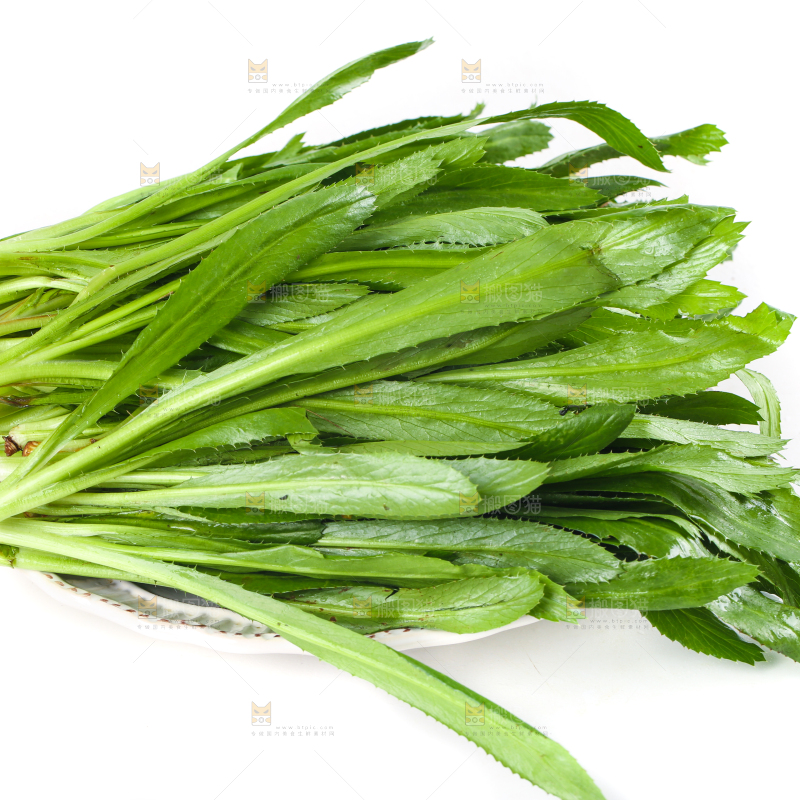 白底上的云南大香菜