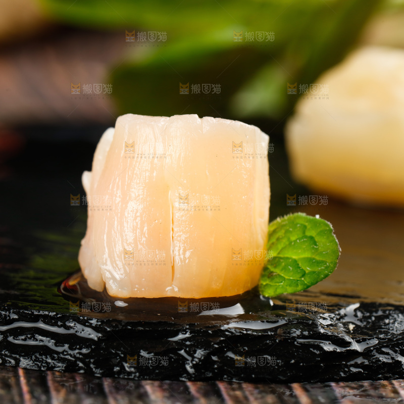 深底上的元贝柱