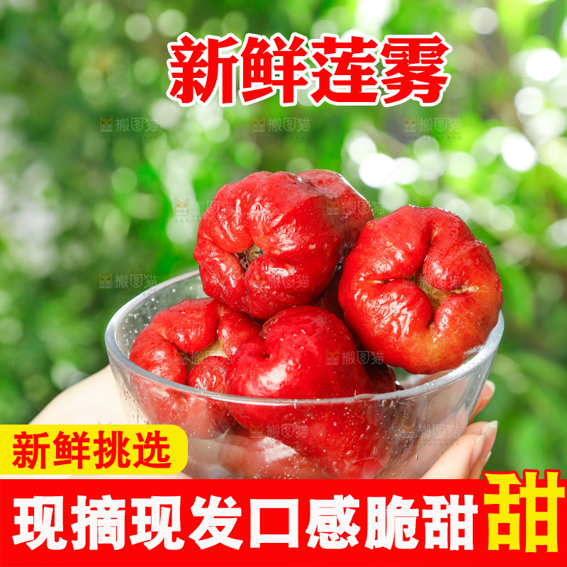 手拿一碗新鲜莲雾
