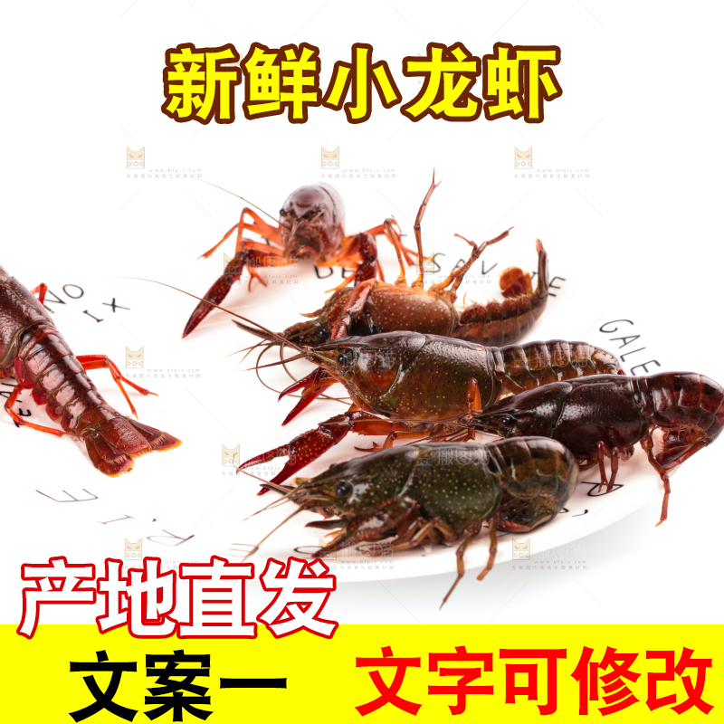 盘子里的鲜活龙虾
