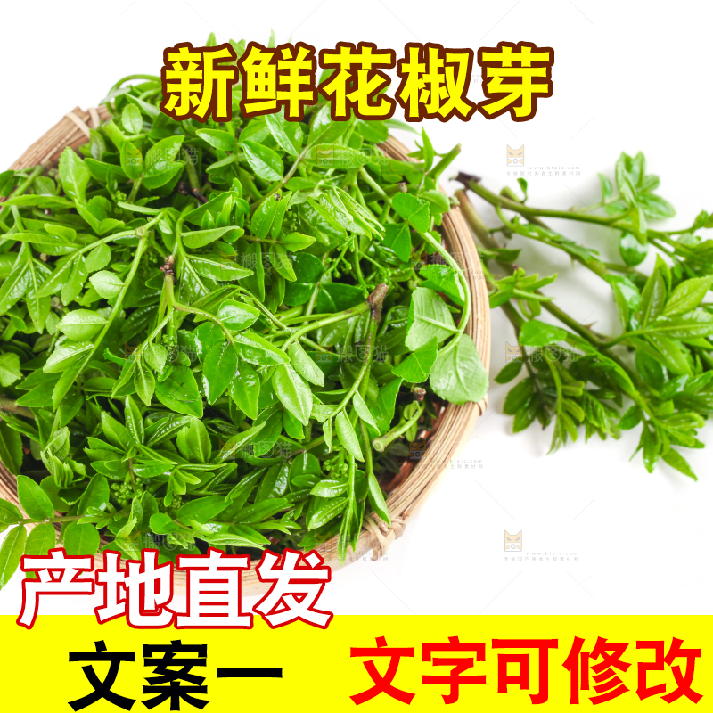 一筐野生花椒芽放在白底上