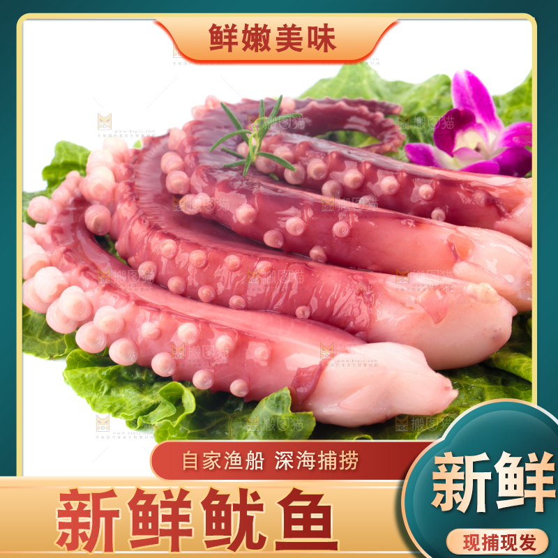 叶子上放着鲜鱿鱼