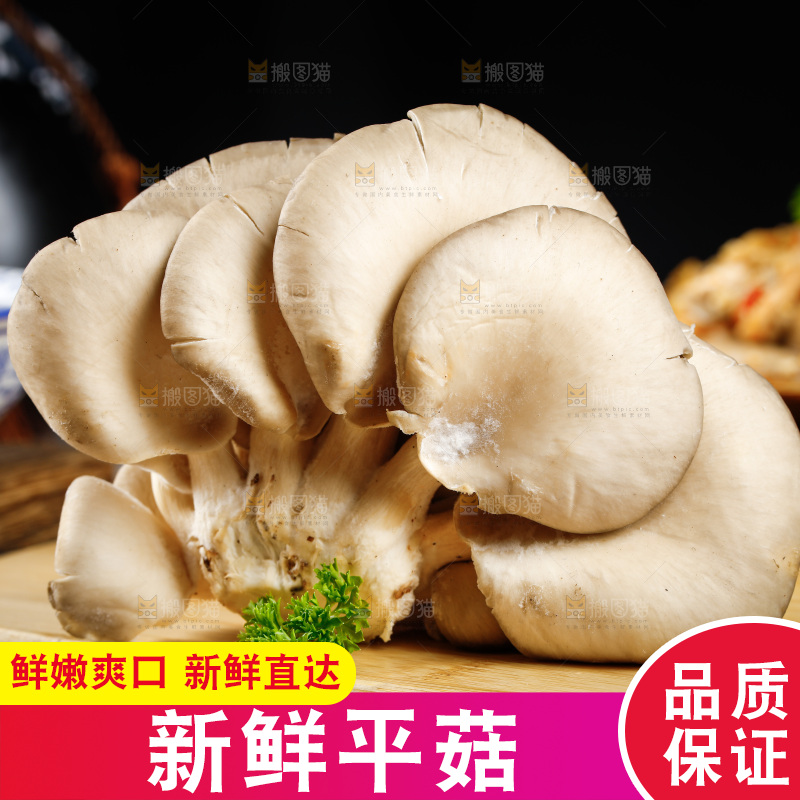 木板上的新鲜平菇