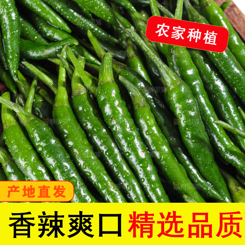 木底上放着一盘青米椒
