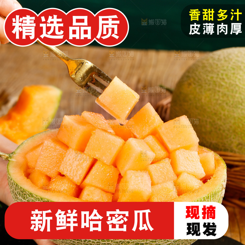 哈密瓜主图