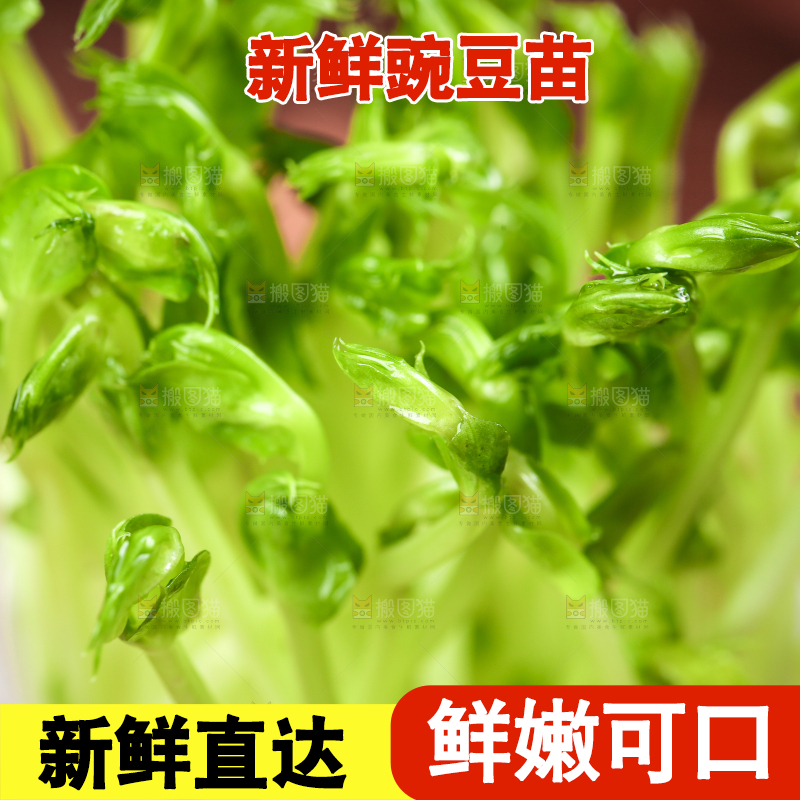 木板上放着豌豆芽
