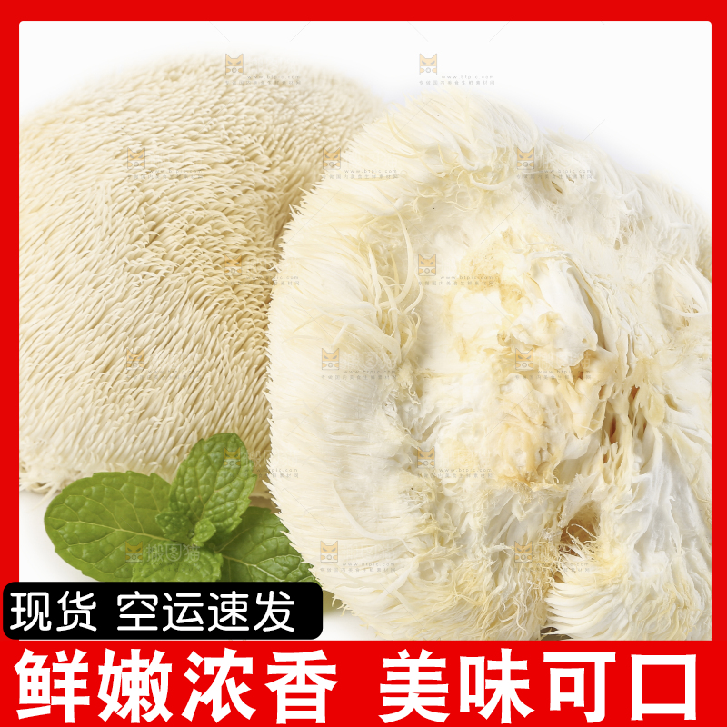 白底上放着东北山猴头菇