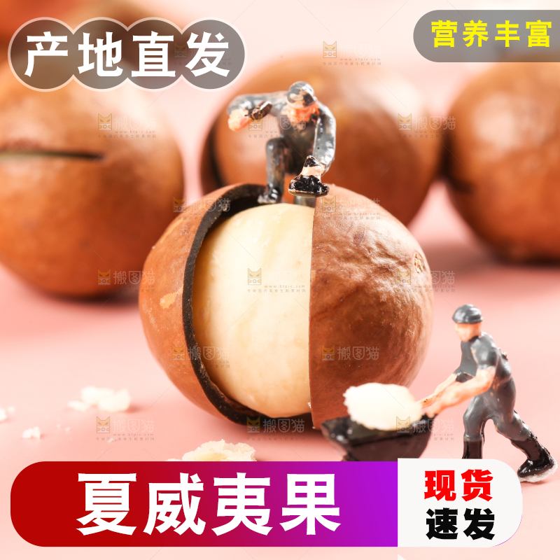 浅底上的夏威夷果
