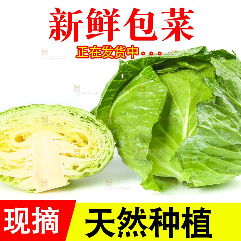 切开的包菜放在白底上