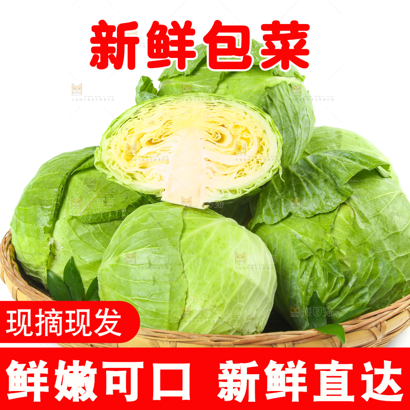 一筐新鲜包心菜放在白底上