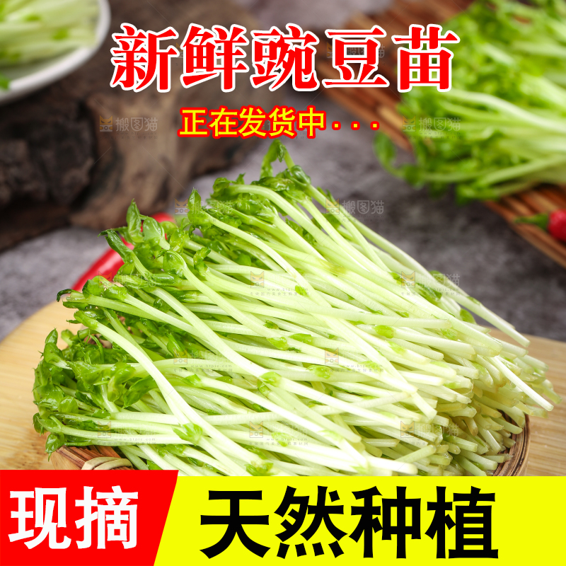 木板上放着豆苗菜