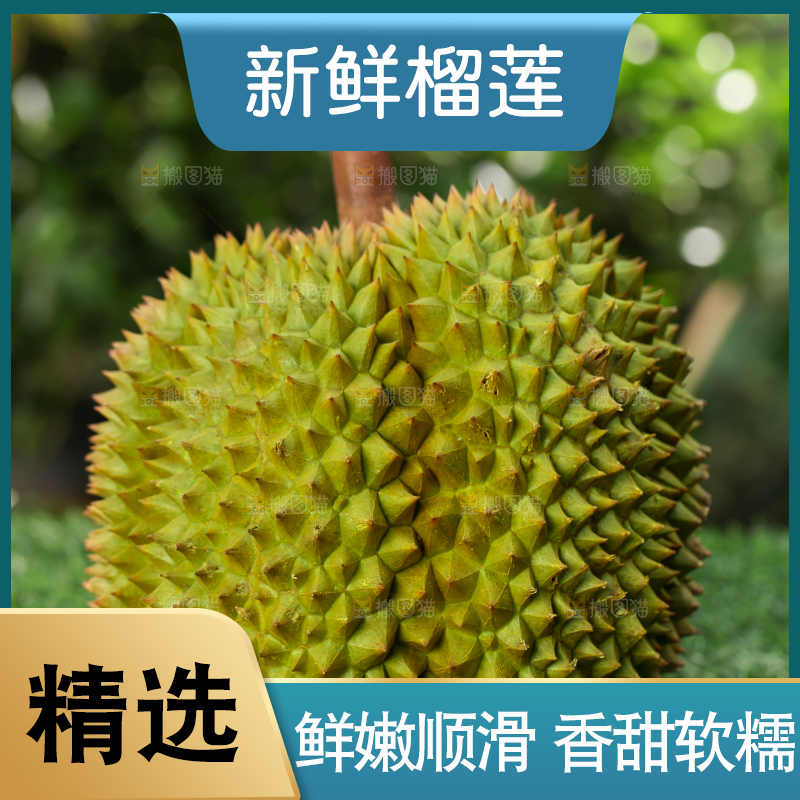 草地上的泰国甲仑榴莲