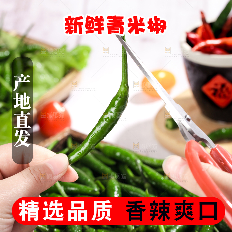 手拿新鲜小米椒