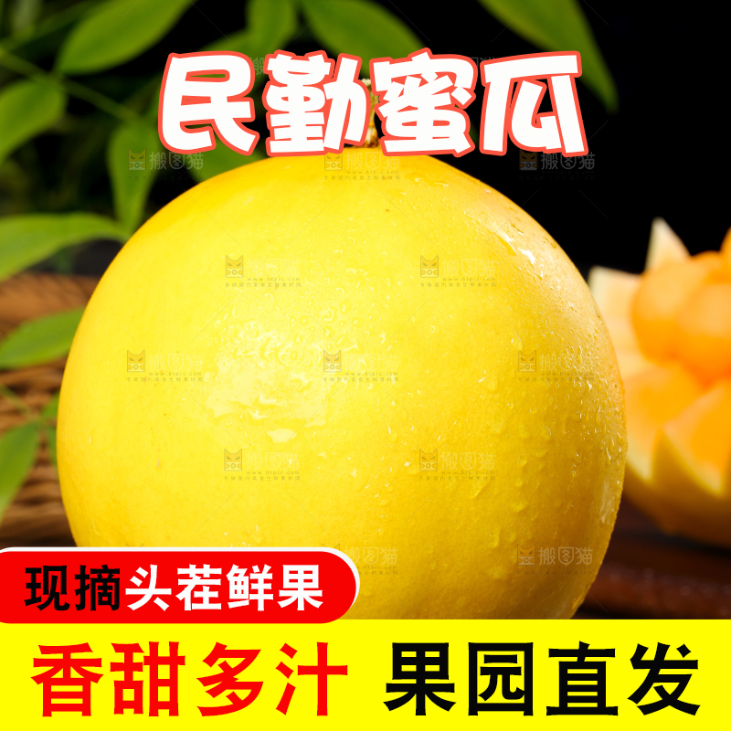 深底的黄河蜜瓜