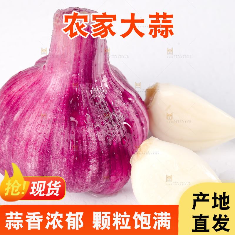 白底上放着大理紫皮多瓣蒜 