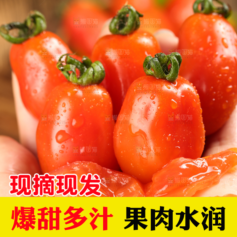 手里拿着丹东409小柿子