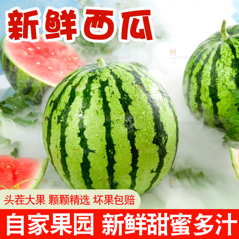 浅底上的放着切开的新鲜红肉西瓜
