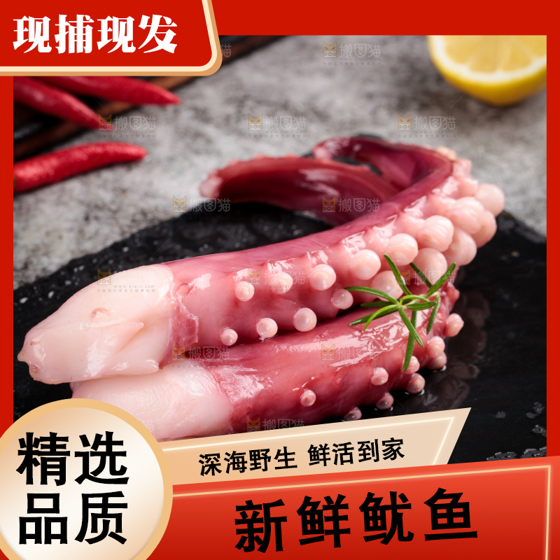 黑石板上的大鱿鱼