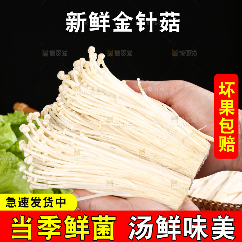 手拿新鲜金针菇
