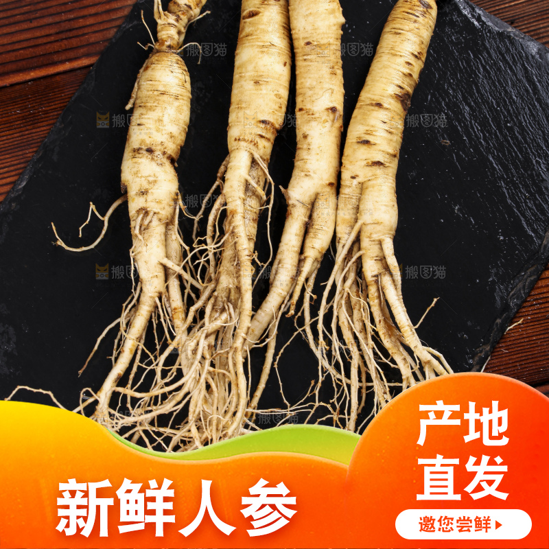 黑石板上的人参
