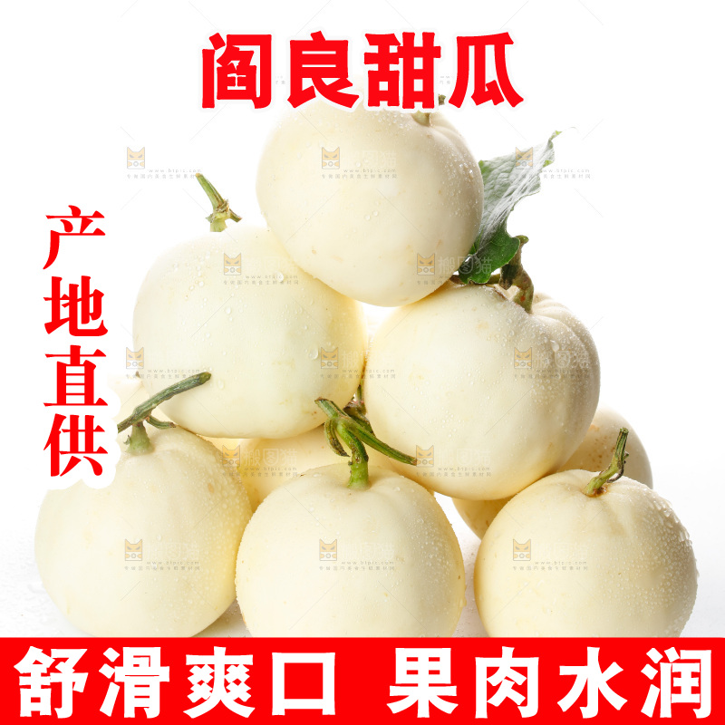白底上的阎良甜瓜