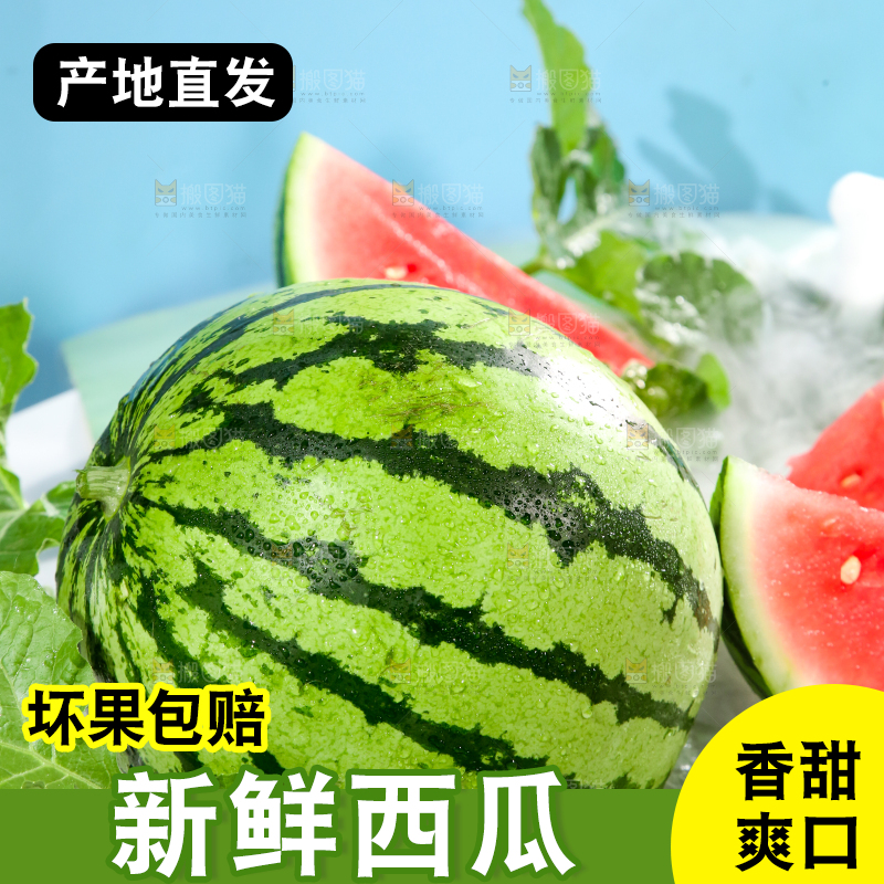 浅底上的放着切开的新鲜红肉西瓜
