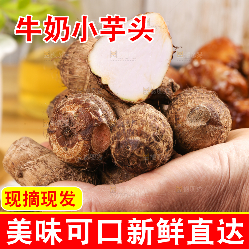 手里拿着新鲜小芋头